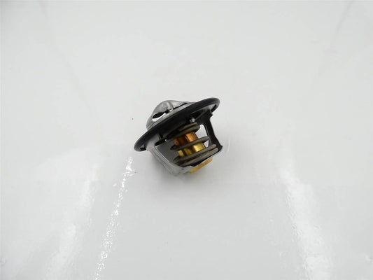 Thermostat Tigercat 211965 FPT Moteur